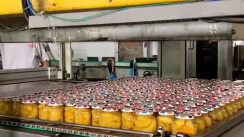 食品車間生產罐頭,全部采用自動化機械生產,工人們上班輕松多了